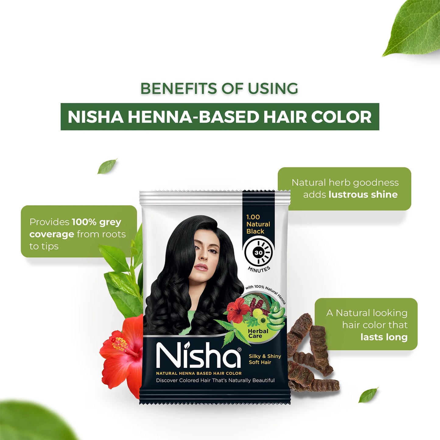 Nisha Hair Color Mehndi Natural Black (Mehndi)