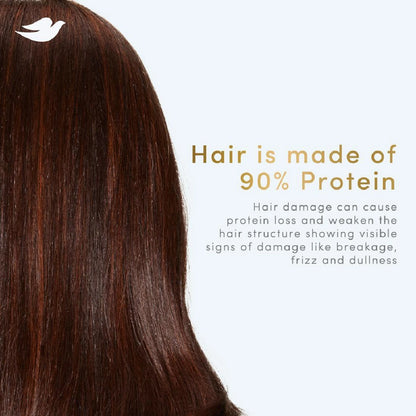 DOVE Intense Repair Shampoo
